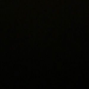 Meet your Posher, Bella